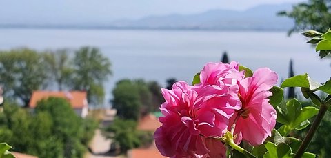 Vila Roza apartments in Gevgelija